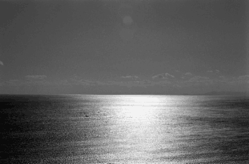 アルバム「しかくしこくき」の写真 (1604)