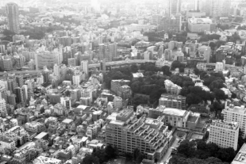 アルバム「大江戸細見」の写真 (16143)