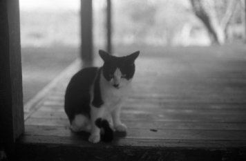 アルバム「くつのあと」の写真 (16175)