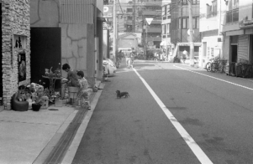 アルバム「大坂細見」の写真 (16317)