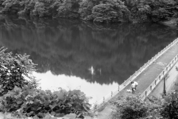 アルバム「井月記」の写真 (16503)