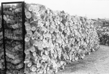 アルバム「みちのおく」の写真 (16640)