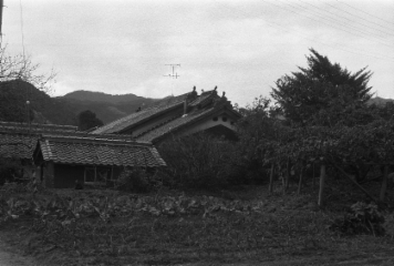 アルバム「奈良桜井散歩」の写真 (16691)