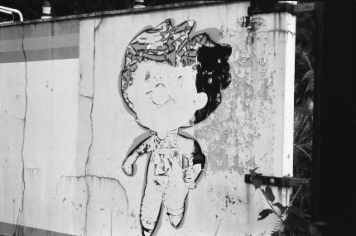 アルバム「南紀行」の写真 (16735)