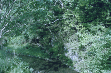アルバム「南山城散歩」の写真 (16747)
