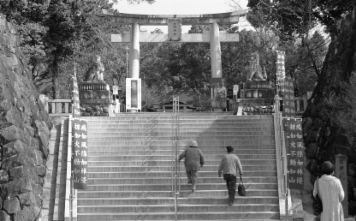 アルバム「富士見行」の写真 (16779)