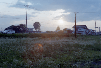 アルバム「みちのおく」の写真 (16862)