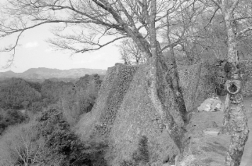 アルバム「キリシタン紀行」の写真 (16881)