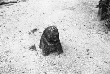 アルバム「くつのあと」の写真 (16978)