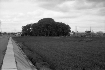 アルバム「名張・松阪散歩」の写真 (17211)