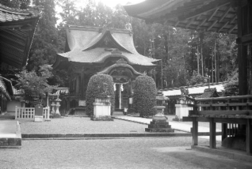 アルバム「甲賀散歩」の写真 (17444)