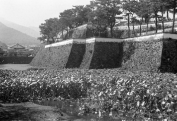 アルバム「くつのあと」の写真 (17557)