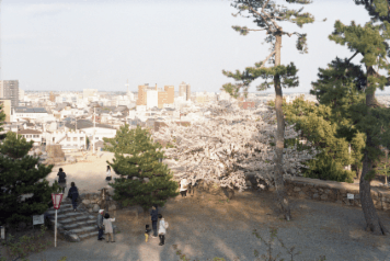 アルバム「名張・松阪散歩」の写真 (17623)