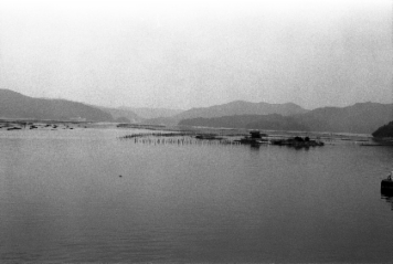 アルバム「みちのおく」の写真 (17679)