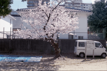 アルバム「大坂細見」の写真 (17681)
