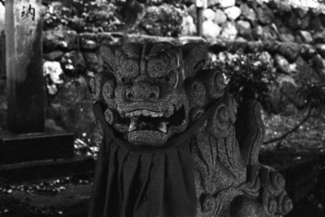アルバム「宇陀散歩」の写真 (18234)