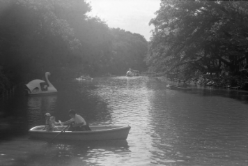 アルバム「大江戸細見」の写真 (18259)
