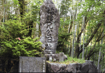 アルバム「南山城散歩」の写真 (18380)