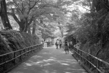 アルバム「みちのおく」の写真 (18388)
