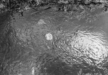 アルバム「みちのおく」の写真 (18500)