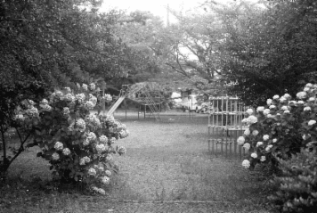 アルバム「甲賀散歩」の写真 (18575)