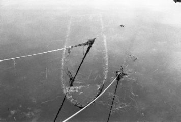 アルバム「みちのおく」の写真 (18629)