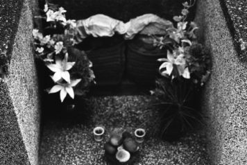 アルバム「大坂細見」の写真 (18659)