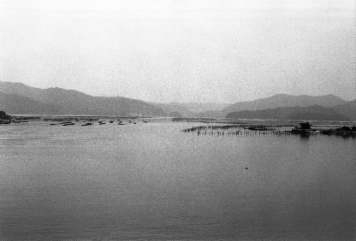 アルバム「みちのおく」の写真 (19084)