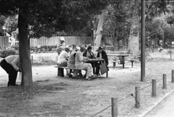 アルバム「大坂細見」の写真 (19198)