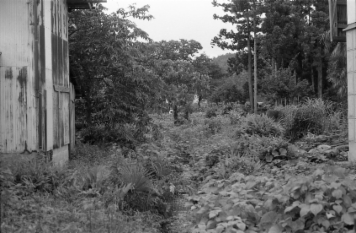 アルバム「きたぐに行」の写真 (19427)