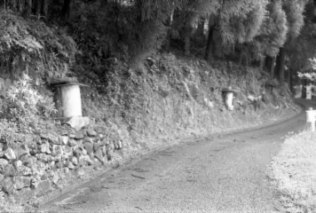 アルバム「日向白樺散歩」の写真 (19443)