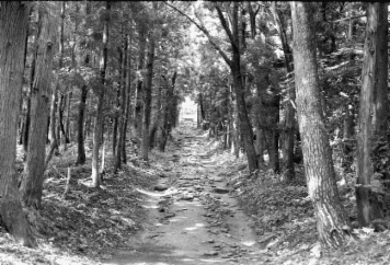 アルバム「みちのおく」の写真 (1950)