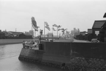 アルバム「知多散歩」の写真 (19603)