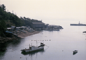 アルバム「湖西行」の写真 (19949)