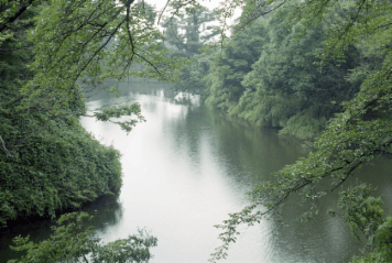 アルバム「みちのおく」の写真 (1999)
