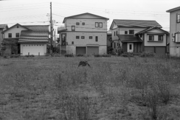 アルバム「きたぐに行」の写真 (20021)
