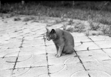 アルバム「みちのおく」の写真 (20212)