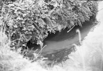 アルバム「くつのあと」の写真 (20507)