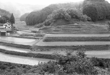 アルバム「宇陀散歩」の写真 (20943)