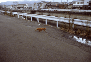 アルバム「湯浅・広川・黒江散歩」の写真 (20998)