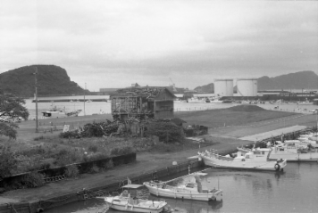 アルバム「日向白樺散歩」の写真 (21062)