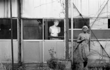 アルバム「奈良散歩」の写真 (21120)
