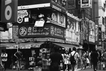 アルバム「大江戸細見」の写真 (2118)