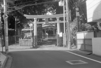 アルバム「大江戸細見」の写真 (21455)