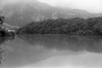 アルバム「日向白樺散歩」の写真 (21464)