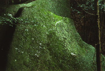アルバム「笠置山・柳生のみち」の写真 (21681)