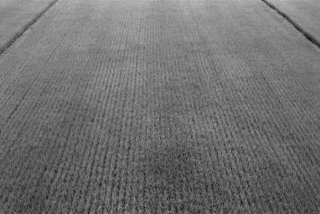 アルバム「みちのおく」の写真 (21754)