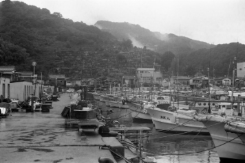 アルバム「くつのあと」の写真 (21941)