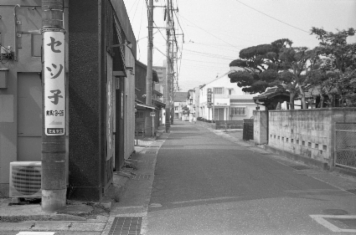 アルバム「キリシタン紀行」の写真 (22925)