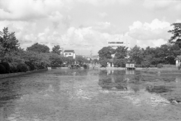 アルバム「北伊勢散歩」の写真 (23184)